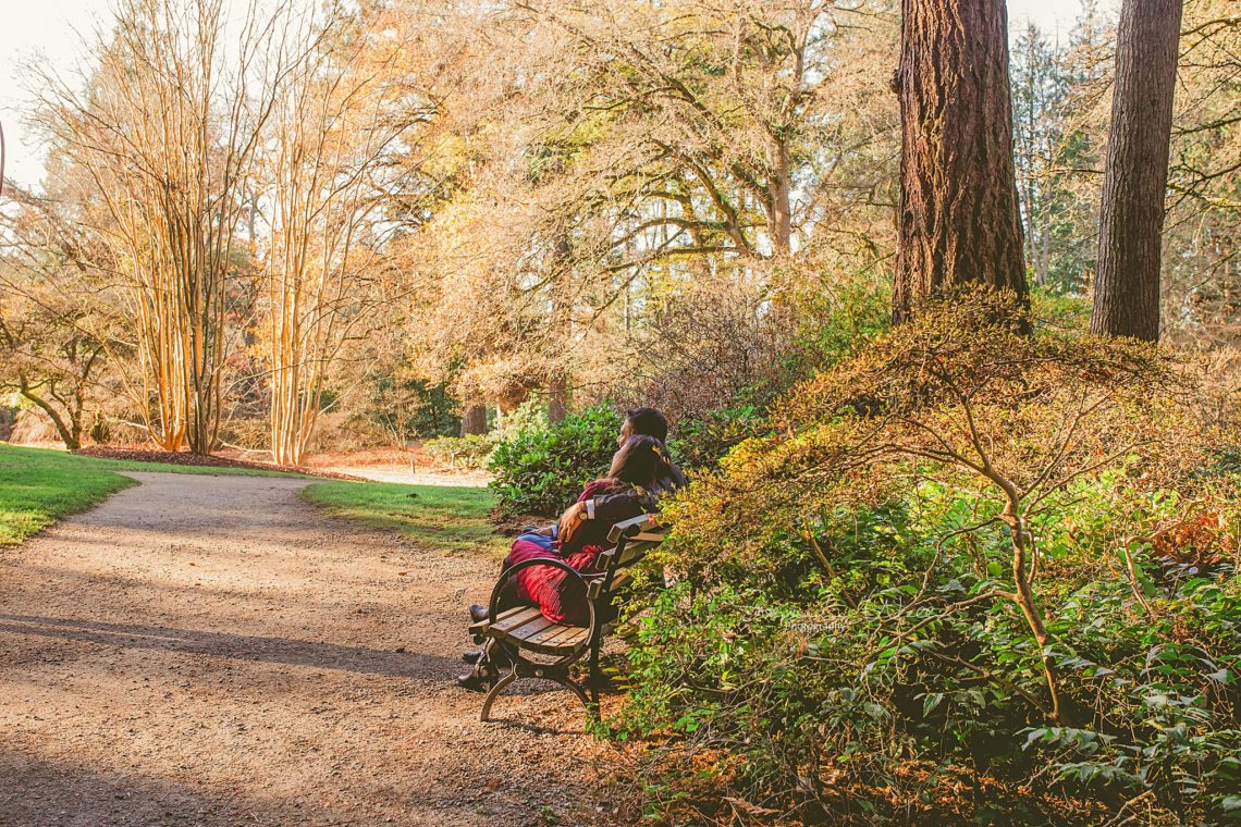 Stephanie Walls Photography 0376 scaled Washington Park Arboretum Engagement with Chi and Saurav