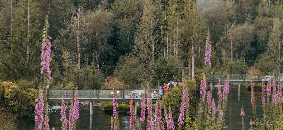 Bubbles Exit Gray Bridge Venue 0099 950x438 Bubbles and Love at Gray Bridge Wedding Venue