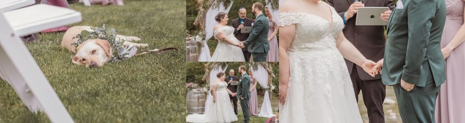 Jewish Wedding with Homemade Beer at Rivers Edge 0066 950x253 Jewish Wedding with Homemade Beer at Rivers Edge Weddings, Events, and Lodging.