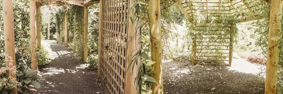 Spring Botanical Garden at Heronswood Gardens 0071 950x317 Spring Botanical Garden at Heronswood Garden Wedding