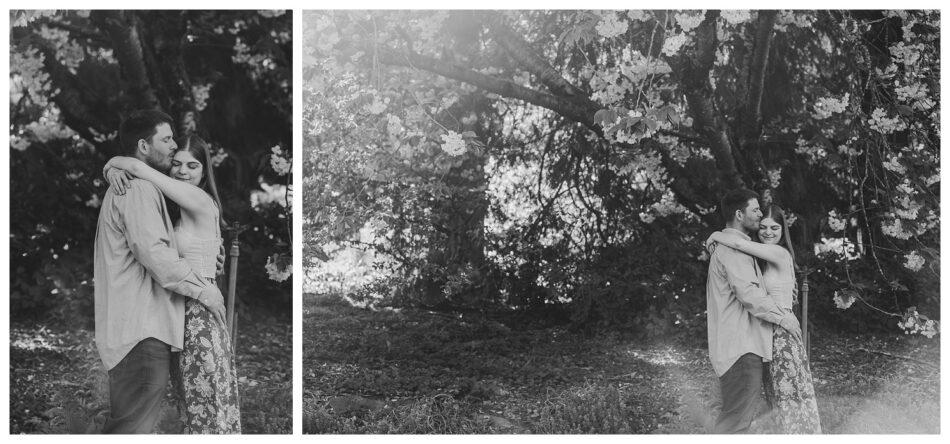 Washington Park Arboretum Cherry Blossom Engagement Session 0034 950x444 Washington Park Arboretum Cherry Blossom Engagement Session