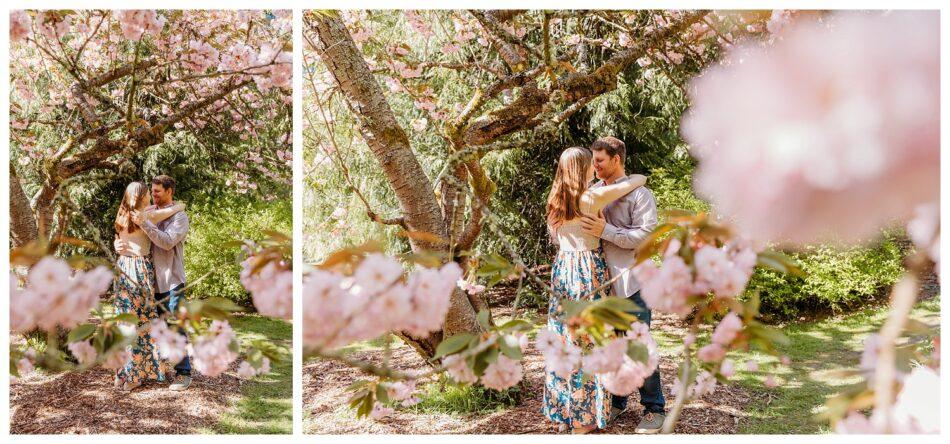 Washington Park Arboretum Cherry Blossom Engagement Session 0035 950x444 Washington Park Arboretum Cherry Blossom Engagement Session