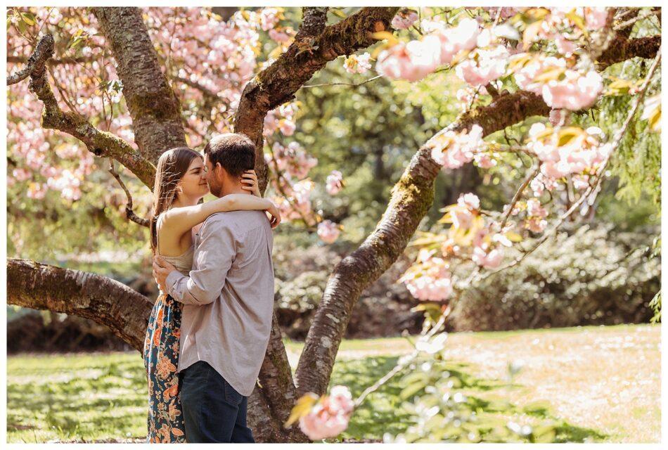 Washington Park Arboretum Cherry Blossom Engagement Session 0036 950x640 Washington Park Arboretum Cherry Blossom Engagement Session