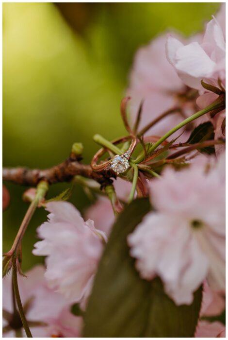 Washington Park Arboretum Cherry Blossom Engagement Session 0047 470x700 Washington Park Arboretum Cherry Blossom Engagement Session